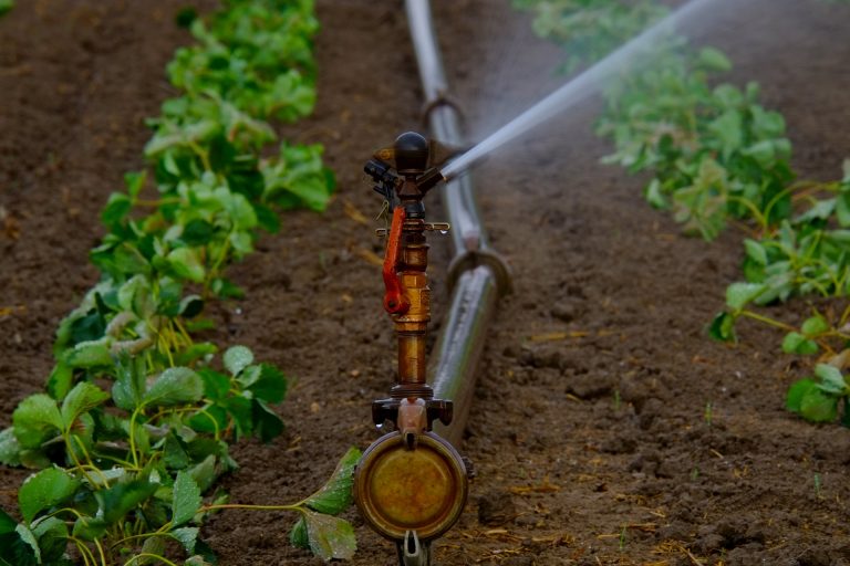 Benefits of using precision irrigation systems EDYPRO